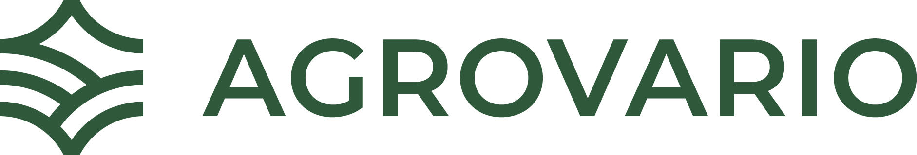Vektor
