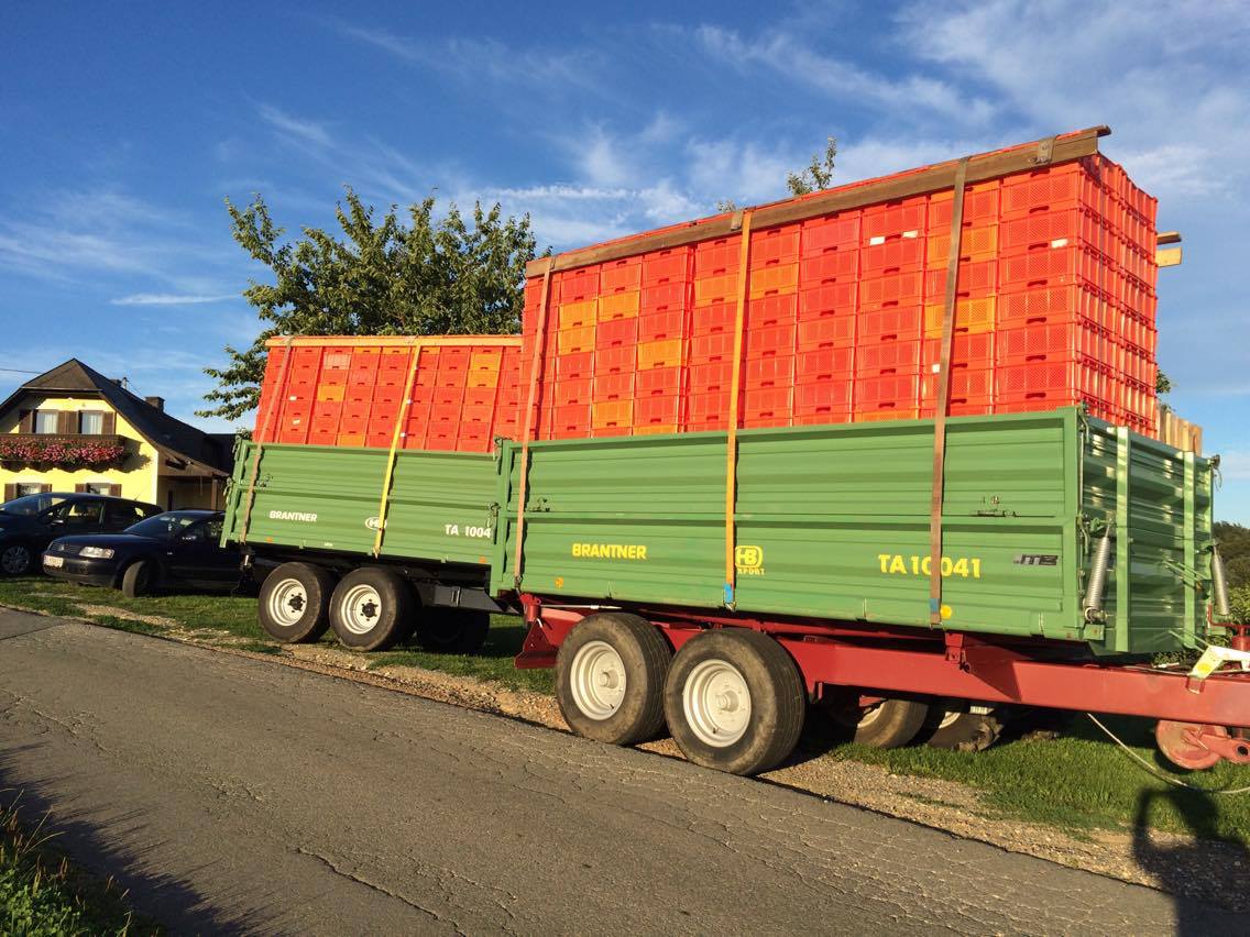 Der Brantner Fahrzeugbau Tandem Dreiseitenkipper TA 10041 langlebig und stabil seit 13 Jahren bei Hr. Gangl am Hof. Der Brantner Fahrzeugbau Tandem Dreiseitenkipper von Hr. Ing. Helfried Gangl.