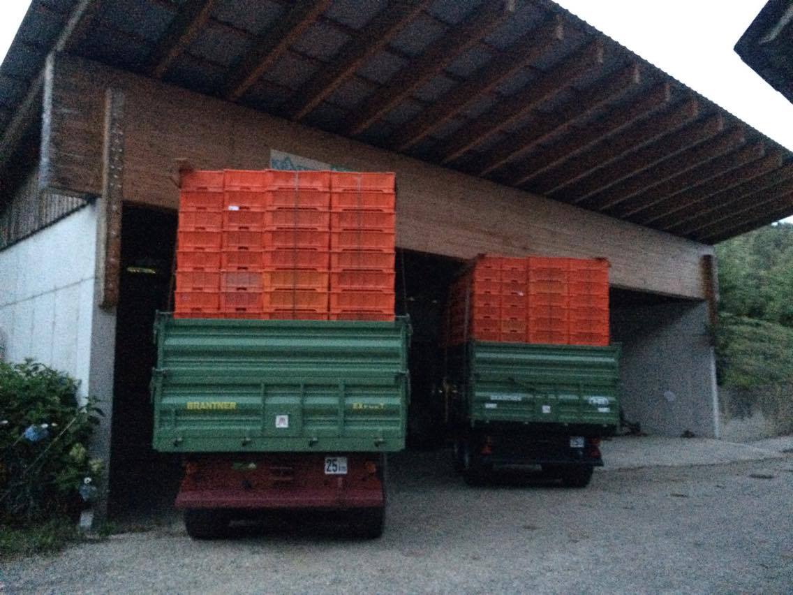 Der Brantner Fahrzeugbau Tandem Dreiseitenkipper TA 10041 langlebig und stabil seit 13 Jahren bei Hr. Gangl am Hof. Der Brantner Fahrzeugbau Tandem Dreiseitenkipper von Hr. Ing. Helfried Gangl.